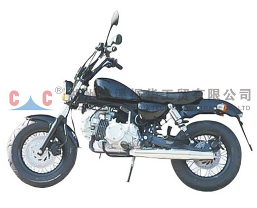 經(jīng)典摩托車(chē)ZH-HAL
