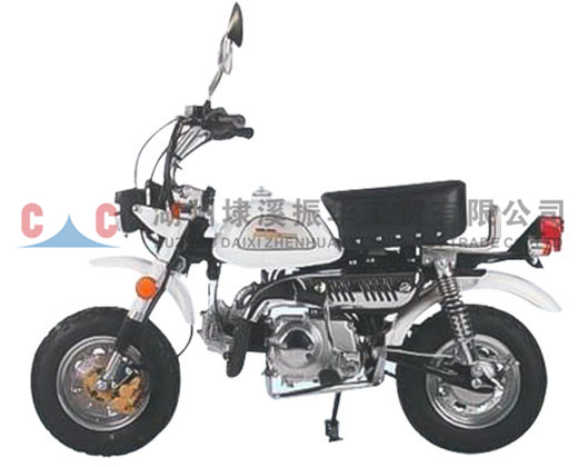 經(jīng)典摩托車(chē)ZH-SR4L