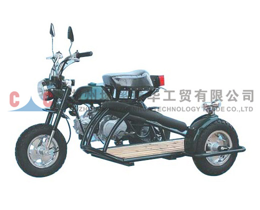 三輪摩托車(chē)-ZH-A3L