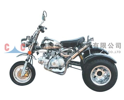 三輪摩托車(chē)-ZH-SR3L